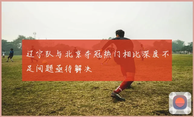 辽宁队与北京夺冠热门相比深度不足问题亟待解决