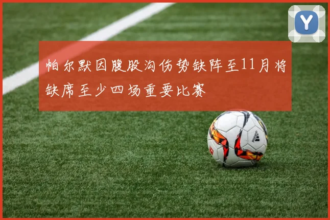 帕尔默因腹股沟伤势缺阵至11月将缺席至少四场重要比赛