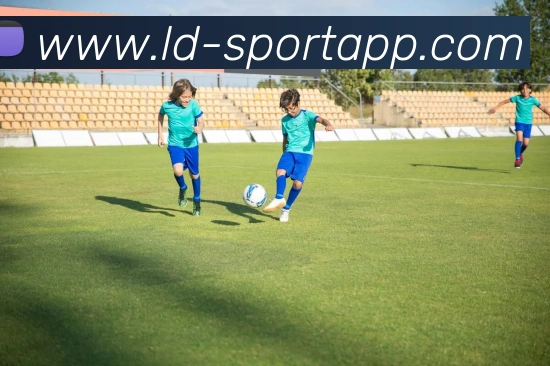 乐动足球平台生态图